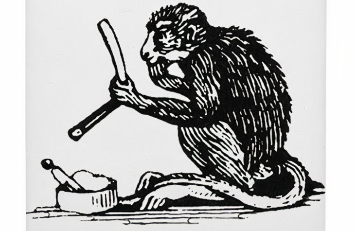 Małpa z brzytwą czyli hormon Testosteron