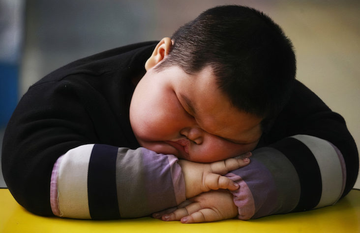 Tkanka tłuszczowa – Nim gruby schudnie