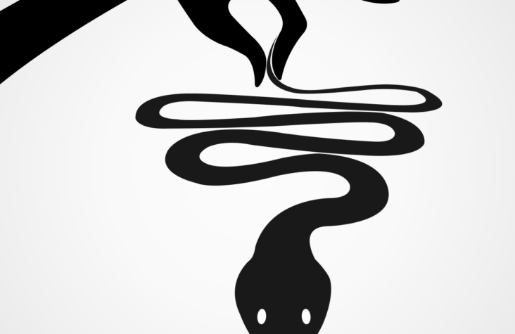 Histamina – żmija w lodówce